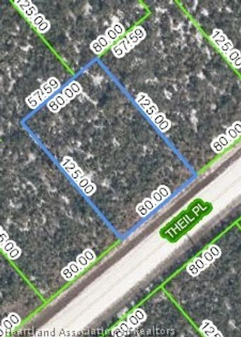 3147 Theil Place, Lake Placid, FL 33852