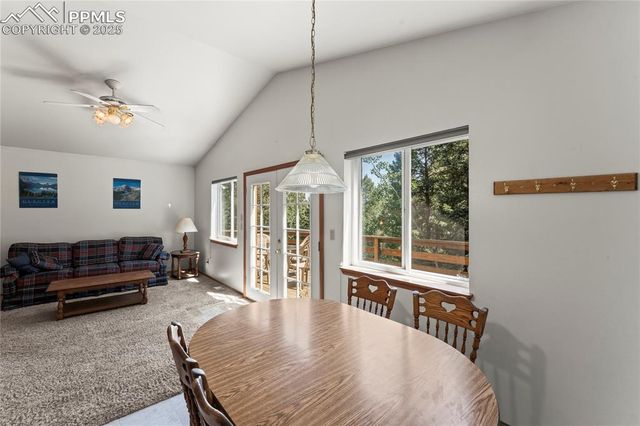 485 Donzi Trail, Florissant, CO 80816