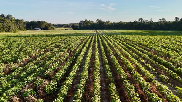 404 E E M White Road Road, Defuniak Springs, FL 32433