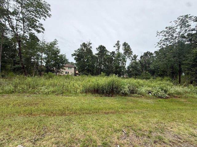 68 Forest Hollow,, Trinity, TX 75862