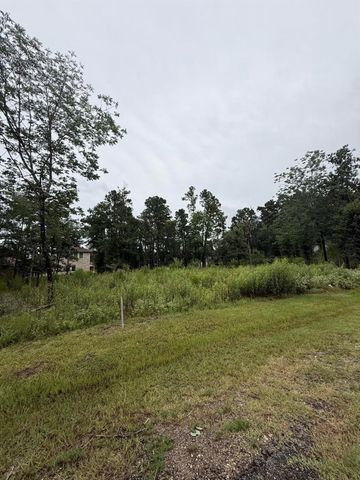68 Forest Hollow,, Trinity, TX 75862