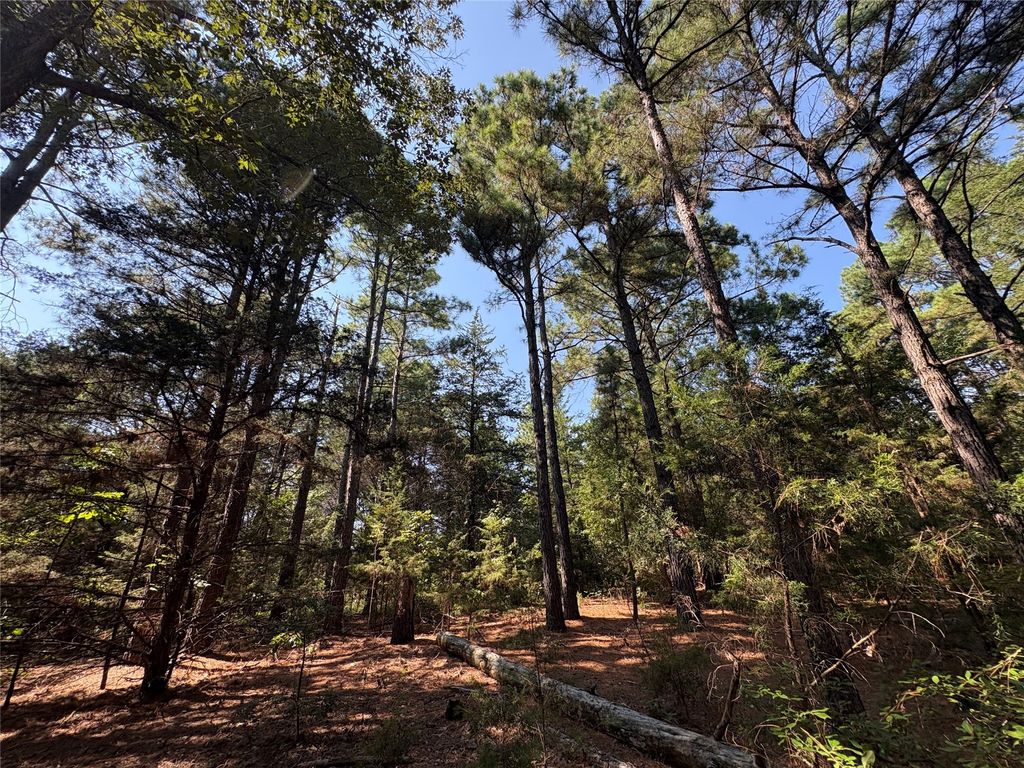 TBD FM 69 Tract 2, Como, TX 75431