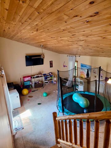 113 Four Square Drive, Deerfield Twp, MI 48858