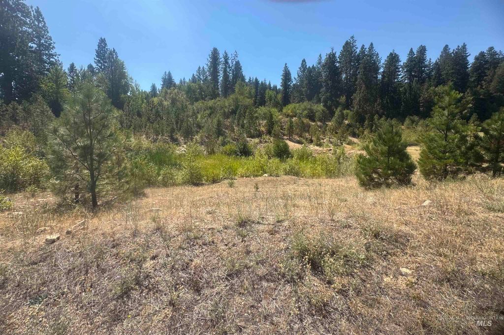 Lot 8 Blk 8 Wapiti Court, Garden Valley, ID 83622 photo 3
