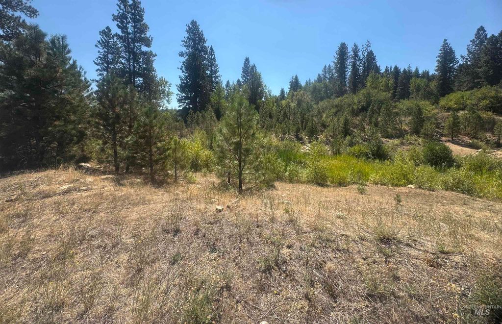 Lot 8 Blk 8 Wapiti Court, Garden Valley, ID 83622 photo 4