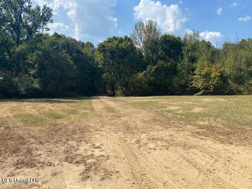 10 1/2 Acres Smith, Hernando, MS 38632 — photo 2