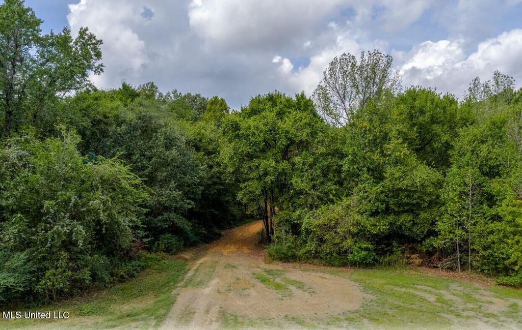 10 1/2 Acres Smith, Hernando, MS 38632 — photo 3
