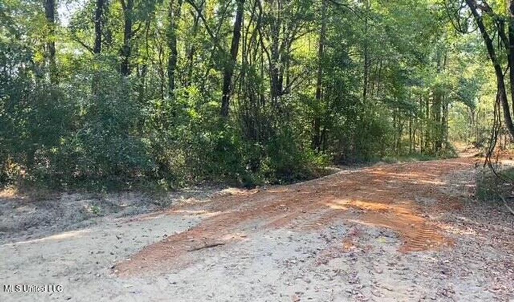 10 1/2 Acres Smith, Hernando, MS 38632 — photo 4