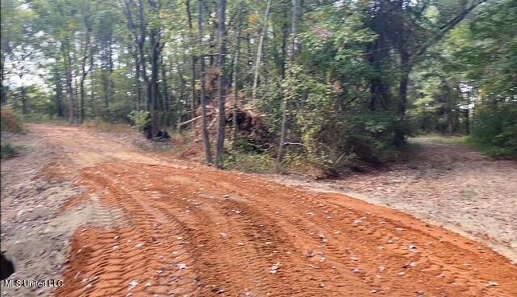 10 1/2 Acres Smith, Hernando, MS 38632 — photo 5