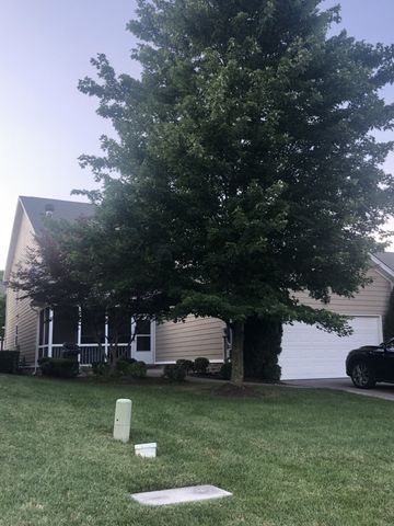 314 Wandering Cir, Franklin, TN 37067