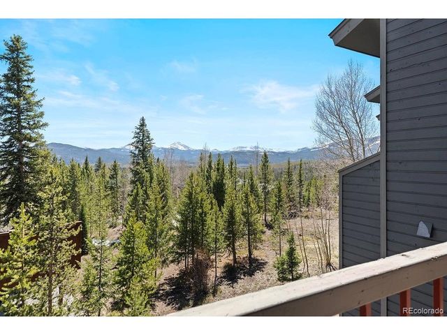 9401 Ryan Gulch Rd 9423, Silverthorne, CO 80498