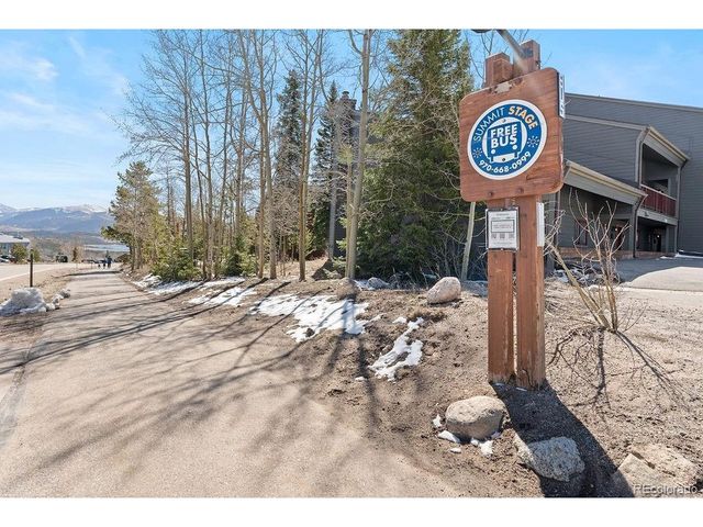 9401 Ryan Gulch Rd 9423, Silverthorne, CO 80498