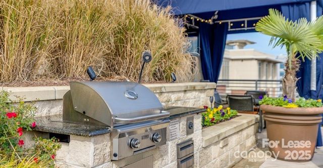 125 W Tremont Avenue A1B, Charlotte, NC 28203