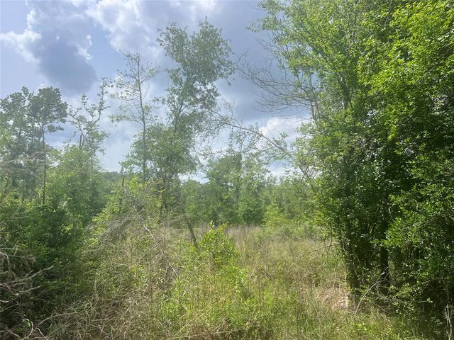 TBD J Hickman Road, Leggett, TX 77350