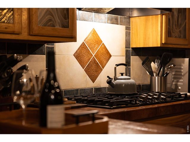 14142 N Saint Vrain Dr, Lyons, CO 80540