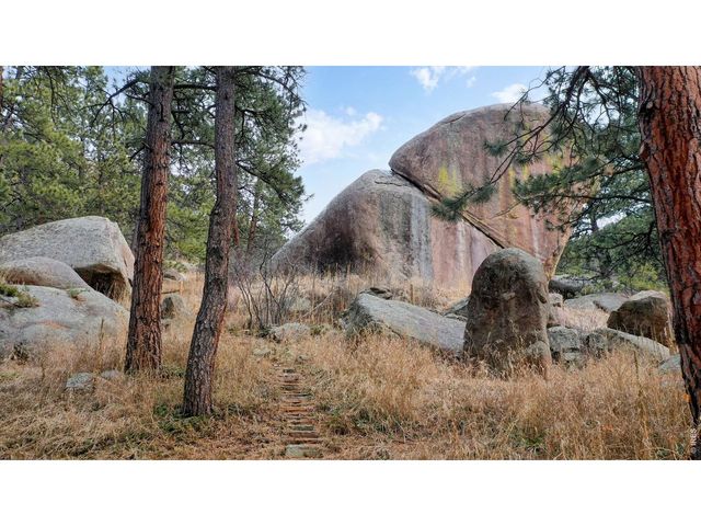 14142 N Saint Vrain Dr, Lyons, CO 80540