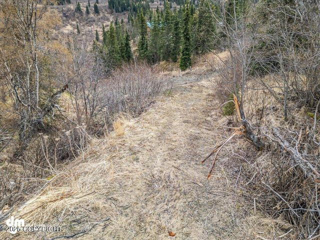 4729 Birdsong Drive, Eagle River, AK 99577