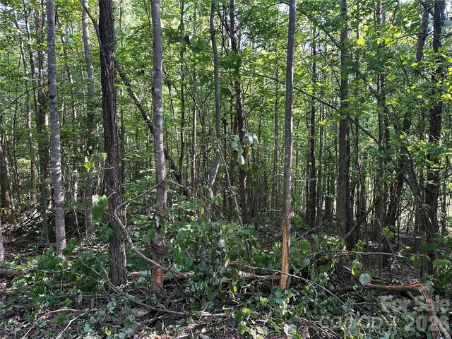 Off Drucilla Church Road, Nebo, NC 28761