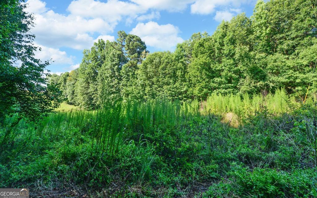 0 Hwy 17, Royston, GA 30662 — exterior