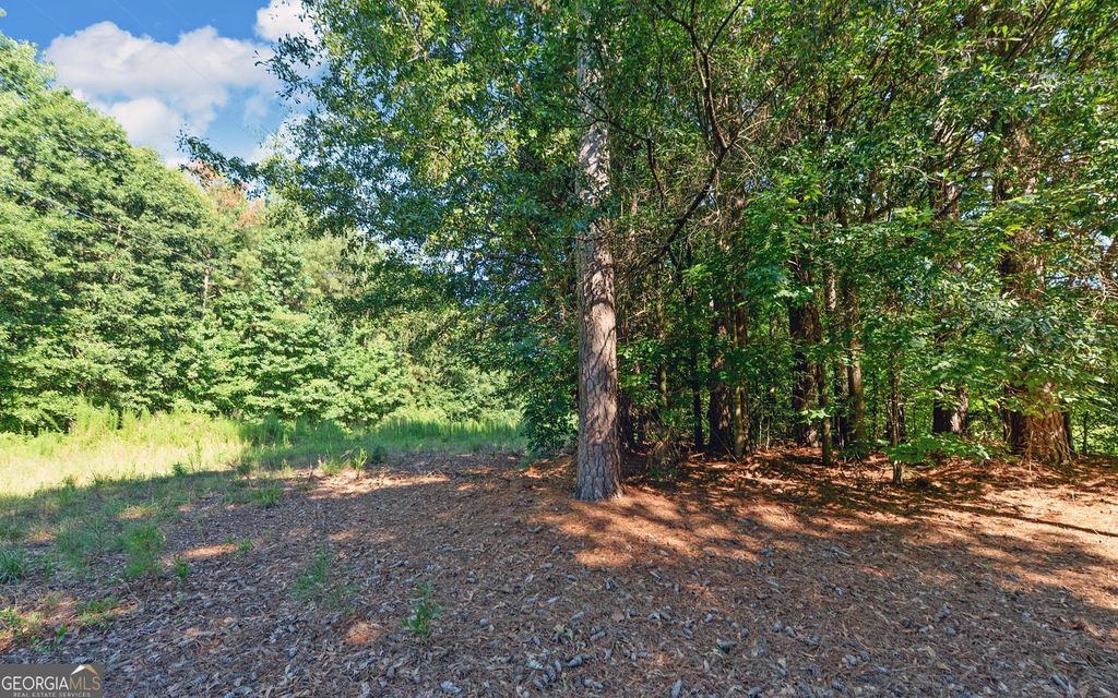 0 Hwy 17, Royston, GA 30662 — photo 5