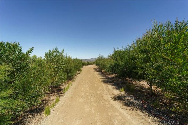 40230 Crazy Horse Canyon Road, Aguanga, CA 92536
