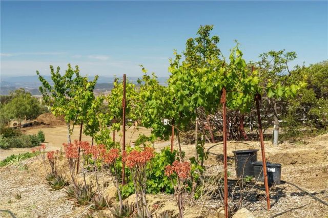 40230 Crazy Horse Canyon Road, Aguanga, CA 92536