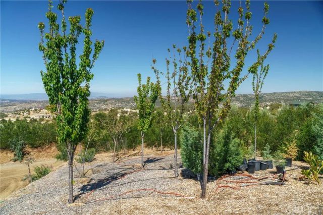 40230 Crazy Horse Canyon Road, Aguanga, CA 92536