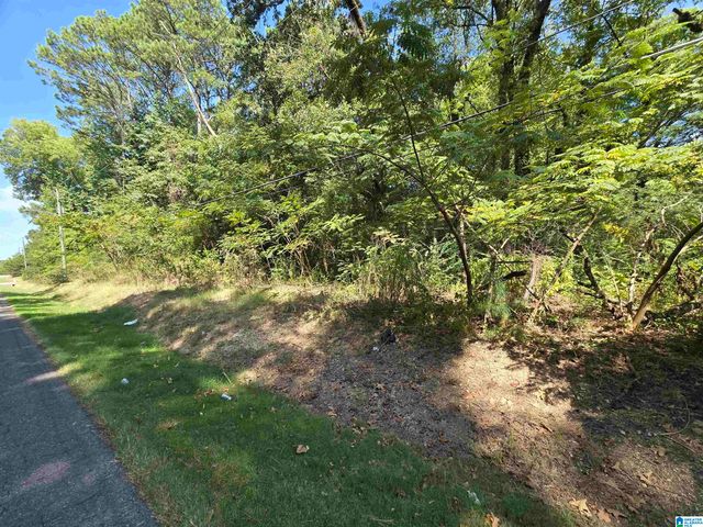 9601 BRYANT AVENUE, Birmingham, AL 35217