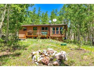 2436 High Creek Rd, Fairplay, CO 80440