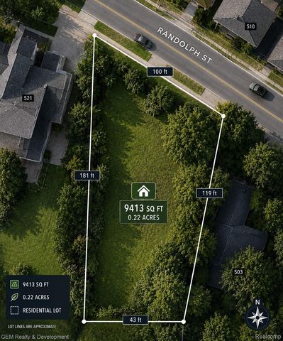509 Randolph Street, Northville, MI 48167