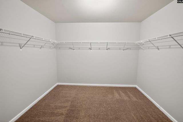 371 Explorer Drive, Chapin, SC 29036