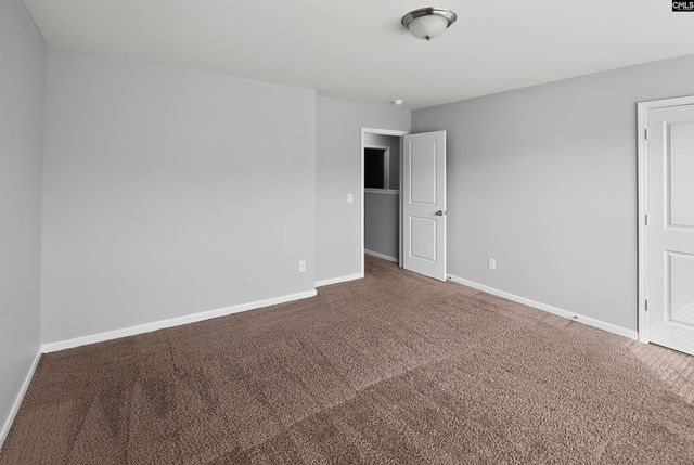 371 Explorer Drive, Chapin, SC 29036