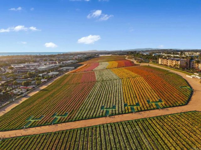 6584 Coneflower Drive, Carlsbad, CA 92011