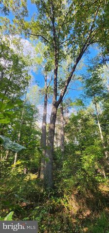 LEES CT, Locust Grove, VA 22508