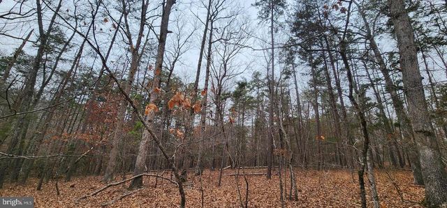 LEES CT, Locust Grove, VA 22508