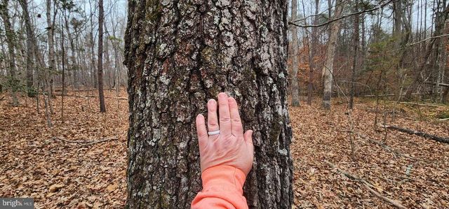 LEES CT, Locust Grove, VA 22508