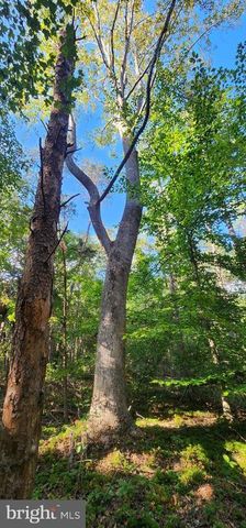 LEES CT, Locust Grove, VA 22508