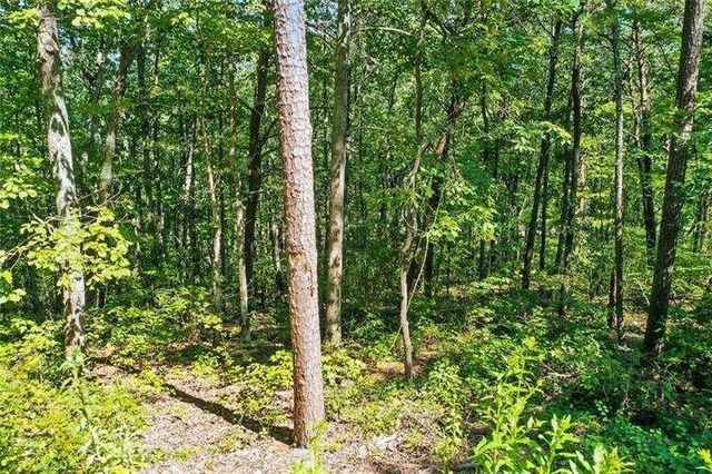 0 Debord Drive, Waleska, GA 30183