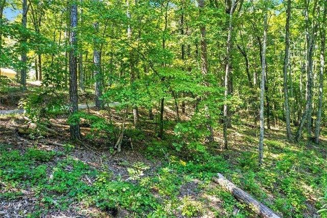 0 Debord Drive, Waleska, GA 30183