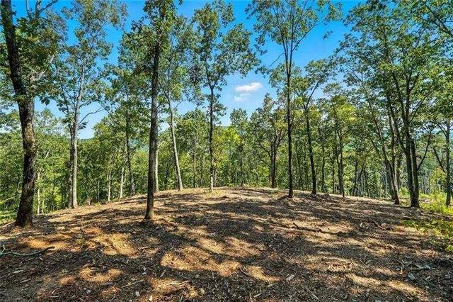 0 Debord Drive, Waleska, GA 30183