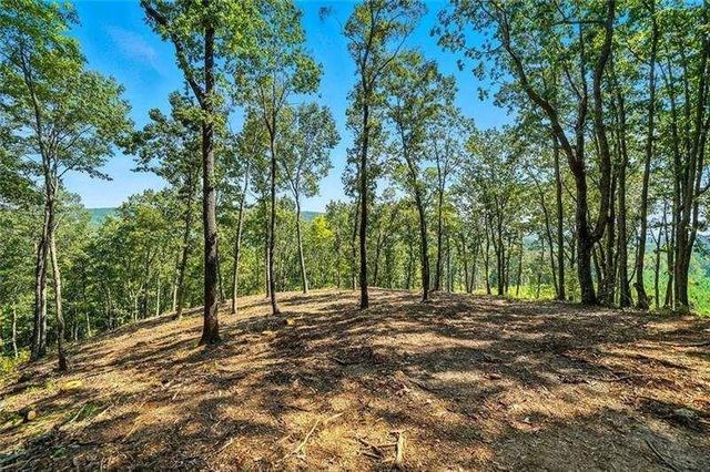 0 Debord Drive, Waleska, GA 30183