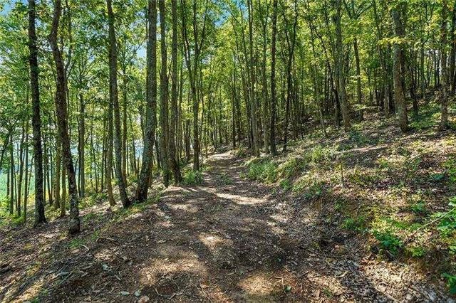 0 Debord Drive, Waleska, GA 30183