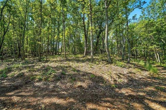 0 Debord Drive, Waleska, GA 30183