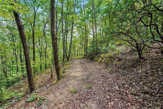 0 Debord Drive, Waleska, GA 30183