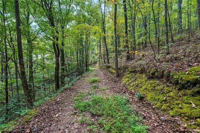 0 Debord Drive, Waleska, GA 30183