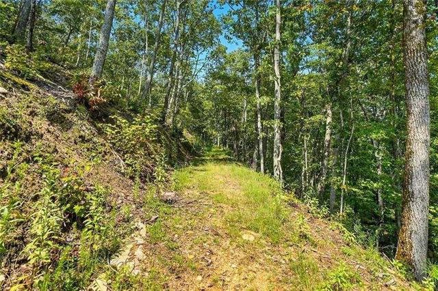0 Debord Drive, Waleska, GA 30183
