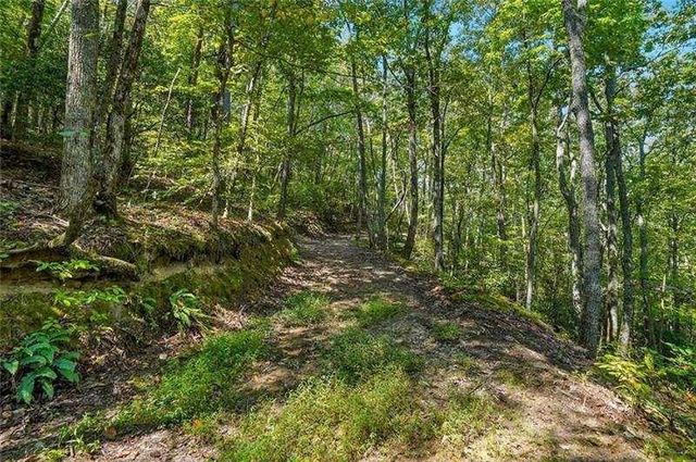 0 Debord Drive, Waleska, GA 30183
