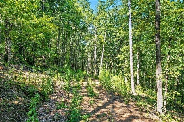 0 Debord Drive, Waleska, GA 30183