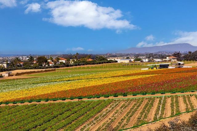 2586 Delphinium Lane, Carlsbad, CA 92008