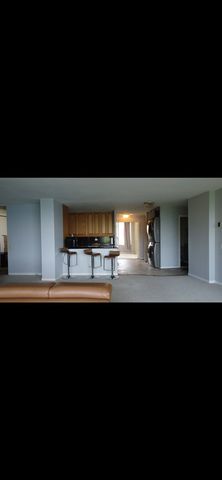 6101 N Sheridan Road 4A, Chicago, IL 60660
